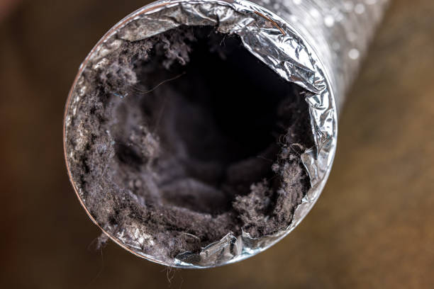  Penitas, TX Airduct Cleaning Pros