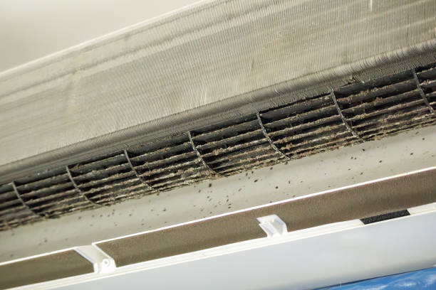 Affordable HVAC Duct Cleaning in Penitas, TX