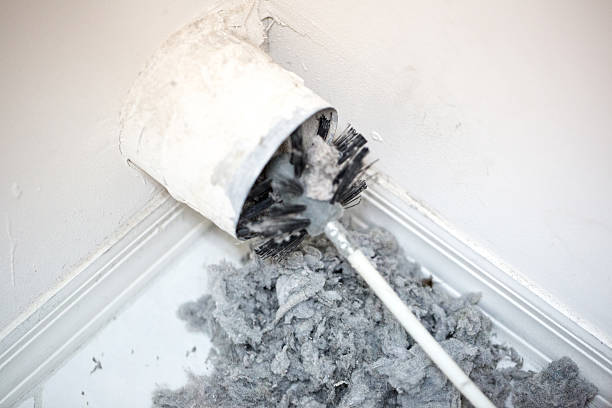 Best Emergency Air Duct Cleaning  in Penitas, TX